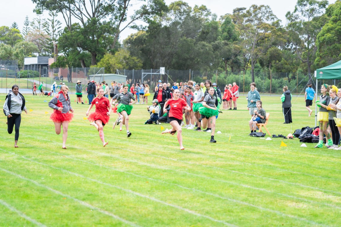 /uploaded_files/media/gallery/1764566075ATHS 25-167 (Medium).jpg